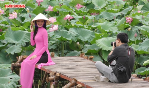 Đẹp thơ mộng hồ sen đền Kiếp Bạc